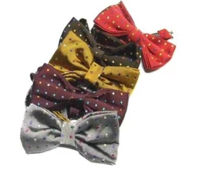 Nœud Papillon Homme Soie à Pois Multicolore Noeud Rouge Brun Vin Or Gris - Picture 1 of 10