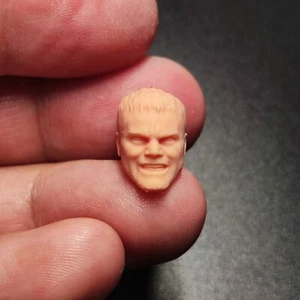 1:18 General Dru-Zod Michael Shannon Head Sculpt For 3.75" Male Figure Body Toys - Picture 1 of 6
