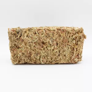 Sphagnum Moos 500g für Reptilien, Orchideen,Torfmoos für Garten-, Zimmerpflanzen - Bild 1 von 5