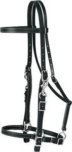 Weaver Leather Brahma Webb Halter Bridle - Picture 1 of 1