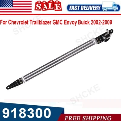 Power Steering Oil Cooler For 02-09 Chevy Trailblazer GMC Envoy 15009093 Foto 1 de 4