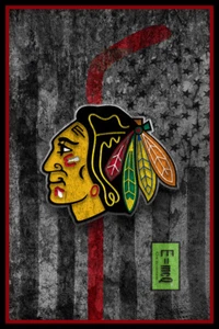 Chicago Blackhawks Poster 16 x 20 Zoll Blackhawks NHL Geschenk kostenloser Versand USA - Bild 1 von 3
