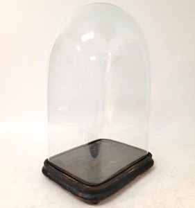 Large Antique Victorian Rectangular Square Hand Blown Glass Globe Dome 19.5" - Picture 1 of 17