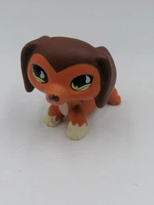 Littlest Pet Shop Collection LPS Figure Teckel Rare - Foto 1 di 5