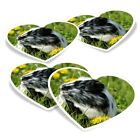 4x Heart Vinyl Stickers Guinea Pig Outdoors Cavia Porcellus #63157