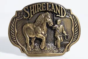 Fibbia per cintura vintage 1987 Shireland tema cavallo Thomas J. Smrt. Ottone massiccio - Foto 1 di 4