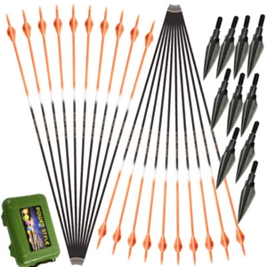 30''Carbon Arrows SPINE 500 Gradient Color Arrow Shaft 100 gerin Arrowhead Shot - Picture 1 of 24