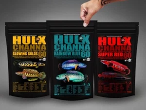 Hulx Channa schönes Schlangenkopf Fischfutter Supermassenformel beschleunigt Farben - Bild 1 von 7