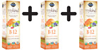 (174 g, 325,64 EUR/1Kg) 3 x (Garden of Life Mykind Organics B-12 Organic Spray,