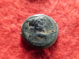Kings of Seleucia - Alexander II - Guaranteed Ancient & Authentic (21L63). - Picture 1 of 2