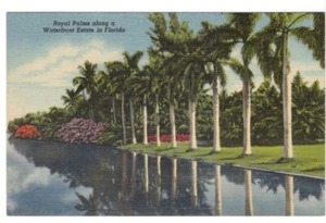 Royal Palms Along A Waterfront Estate In Florida, Vintage Linen Postcard #1 - Picture 1 of 2