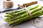Jersey Knight Live Asparagus Bare Root Plants - 2yr Crowns - Easy to Grow