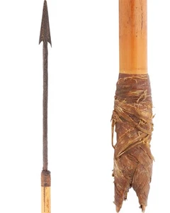 AFRICAN PYGMY ARROW - Picture 1 of 6