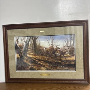 TERRY REDLIN Herbstlauf gerahmte und nummerierte Druckausgabe - Bild 1 von 11