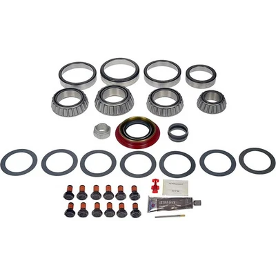 797-108 Kit de cojinete y sello diferencial trasero Dorman para camioneta Ram Fury W200 I Foto 1 de 4