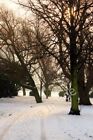 Photo 6x4 Trees and snow Long Eaton In West Park Long Eaton. c2010