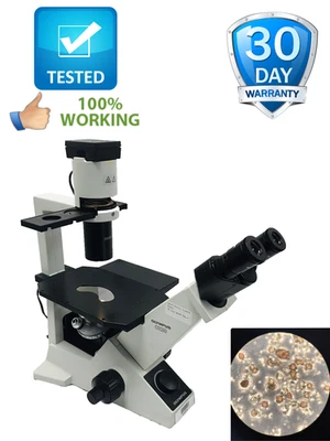 Microscopio Olympus CK30 invertido con contraste de fase CK30-F100 4x 10x 20x 40x Foto 1 de 4