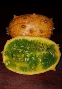Cucumis metuliferus - Kiwano - Pepino Africano 50 (semillas) seeds - graines - Imagen 1 de 3