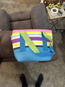 Arctic Zone Stripes Insulated Tote Cooler Bag Lunch Beach 8 Can Antimicrobial - Picture 1 of 5