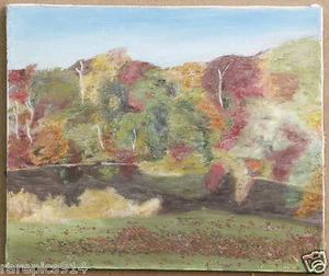 Pintura original firmada al óleo sobre lienzo escena de otoño de Heather Nielsen 81 - Imagen 1 de 1