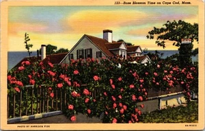 Postcard Rose Blossom Time on Cape Cod Mass [bx] - Picture 1 of 2
