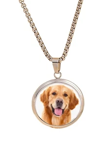 Golden Retriever Hund Haustier Familie Silber Farbe Halskette mit Anhänger und Geschenkbox - Bild 1 von 4
