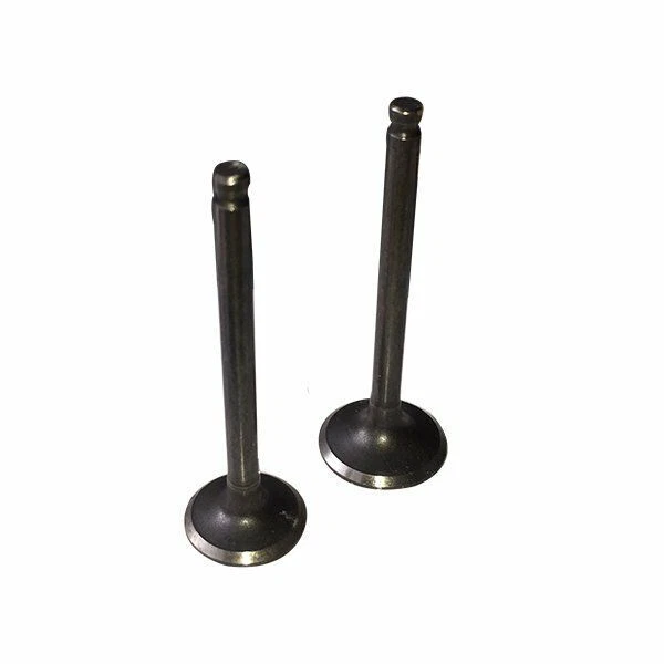 Kit de Valve Lifan 125 Ccm Admission Soupape Vidange HMParts Motor Envoi Express - Photo 1/1