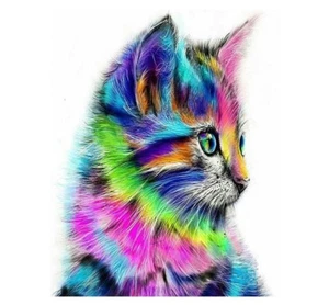 Paint By Numbers Kit Colorful Cat Animals Rainbow Kitty 40CMx50CM Canvas - Picture 1 of 5