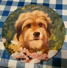 Wags To Riches Benji Movie Star 1982 Toyal Manor First Ed Collector Plate Q1