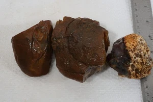 Timor Agate Lapidary Cabbing 1 lb 10 oz. three piece rough lot #1 - Picture 1 of 17