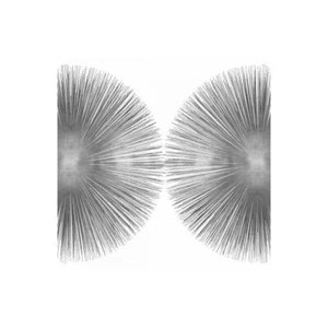 Impression Sur Toile Ou Papier Affiche Ou Cadre Young Abby Silver Sunburst II - Bild 1 von 2