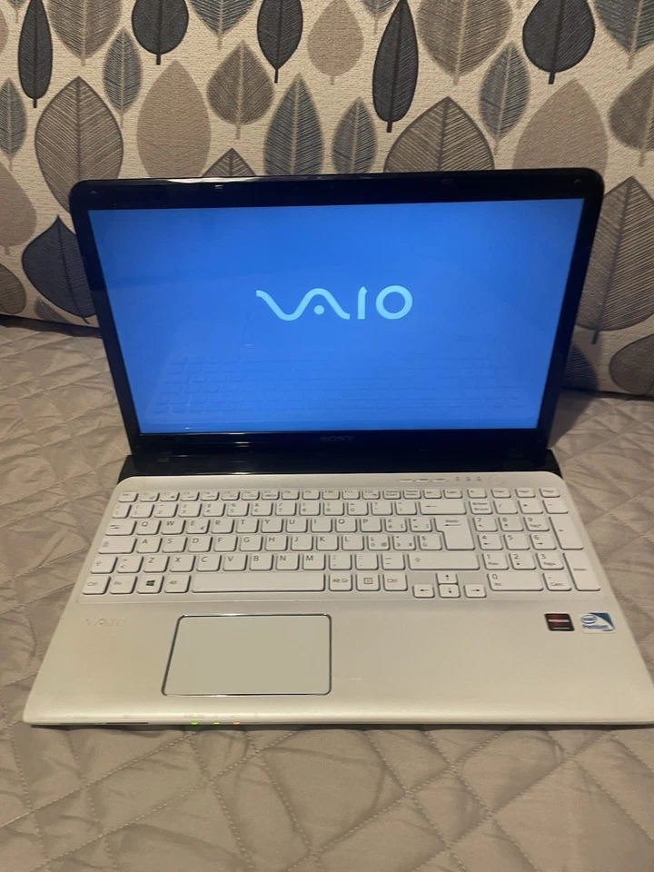 Sony Vaio SVE151G17M funzionante completo Foto REALI - Immagine 1 di 4