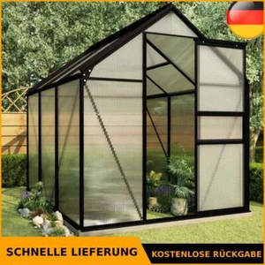 Gewächshaus mit Fundament Treibhaus Tomatenhaus Anthrazit Aluminium vidaXL - Bild 1 von 70