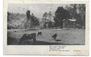 AK MIT VERSEN VON A. ORVIETO 1924 gereist - Bild 1 von 2