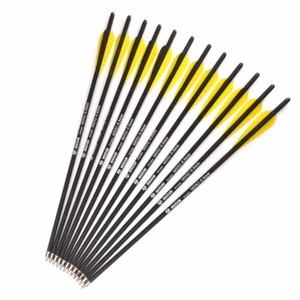 12x 20"Carbon Crossbow Arrows 8.8mm Archery Practice Hunting Target Compound Bow - Bild 1 von 6