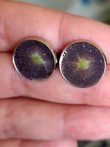 Multicoloured resin stud earrings - Picture 1 of 2