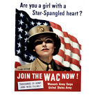 PROPAGANDA WAR WWII USA WAC ENLIST FLAG WOMEN FINE ART PRINT POSTER 30X40 CM 12X