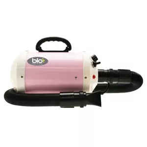 Groom Professional Blo i250P Hot Blaster con impostazioni di calore variabili - Rosa - Foto 1 di 2
