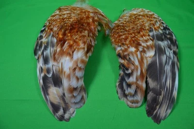 2 CONJUNTOS DE ALAS DE PLUMAS DE POLLO PÁJARO REAL, ATADO DE SEÑUELOS PARA MOSCAS, ARTESANÍAS, NARANJA, BLANCO, NEGRO Foto 1 de 4