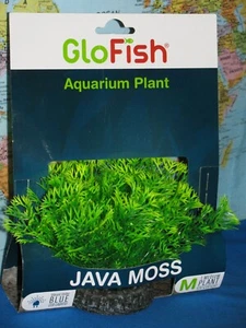 GLOFISH AQUARIUM PLANT JAVA MOSS MEDIUM PLANT SPECTRUM BRANDS ***BRAND NEW*** - Picture 1 of 10