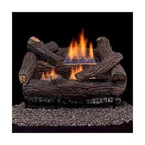 Duluth Forge DLS-18R-2 Dual Fuel Ventless Fireplace Logs Set with Remote Cont... - Picture 1 of 10