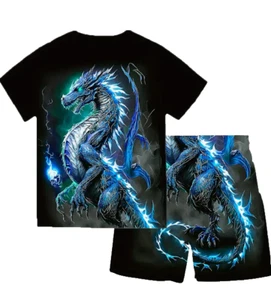 Boys Dragon 2 Piece Shorts set Size 9-10 Spring Summer Select your color New - Picture 1 of 5