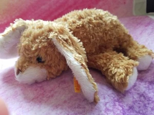Steiff 8" Hase - Bild 1 von 10