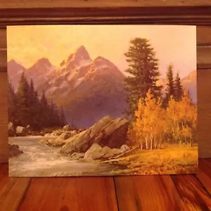 NOS Donald Art Co. NY Midcentury stampa litografica cartone 11x14 torrente montagna - Foto 1 di 3