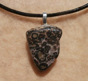 Leopard Skin Jasper Pendant Black Leather Cord Necklace Silver Tone Clasp 18”+ - Imagen 1 de 12