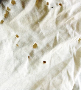 Baumwoll-Jersey cremeweiss mit Löchern - Bild 1 von 1