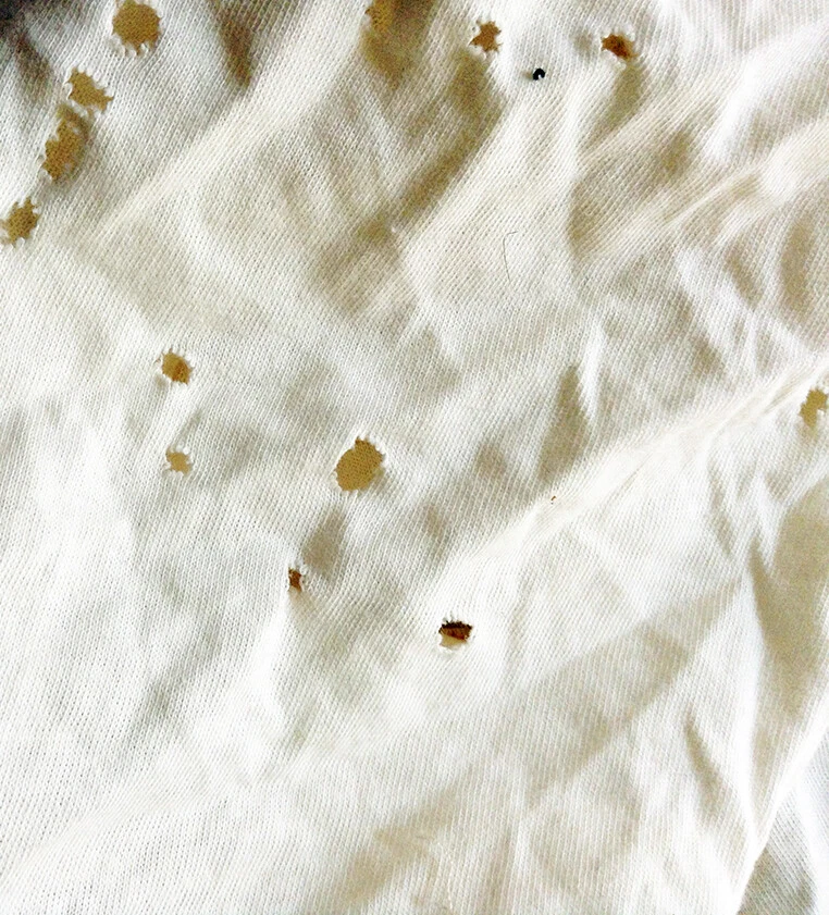 Baumwoll-Jersey cremeweiss mit Löchern - Bild 1 von 1