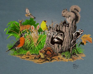 BACKYARD ANIMALS--Squirrel Bunny Turtle Deer Raccoon Science Nature Kids T Shirt - Picture 1 of 4