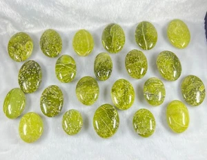 1.31 Kg Shah Maqsood aka Serpentine Palm Stone Lot Of 22 Pcs Healing Crystal - Picture 1 of 6