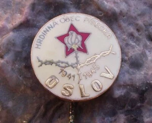 Oslov 1941 - 1945 Tschechoslowakei Dorfkrieg Denkmal Rose Stacheldraht Pin Abzeichen - Bild 1 von 2